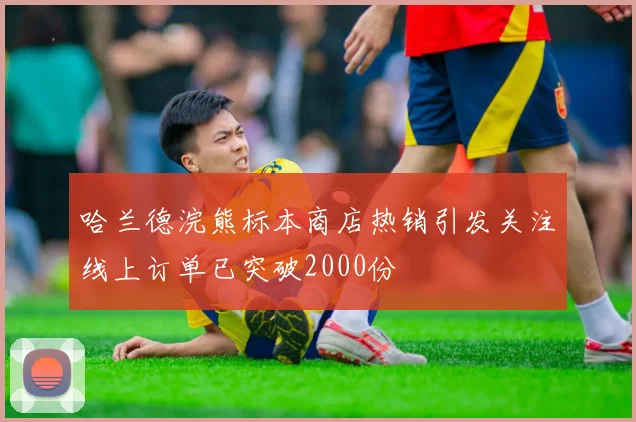 哈兰德浣熊标本商店热销引发关注线上订单已突破2000份