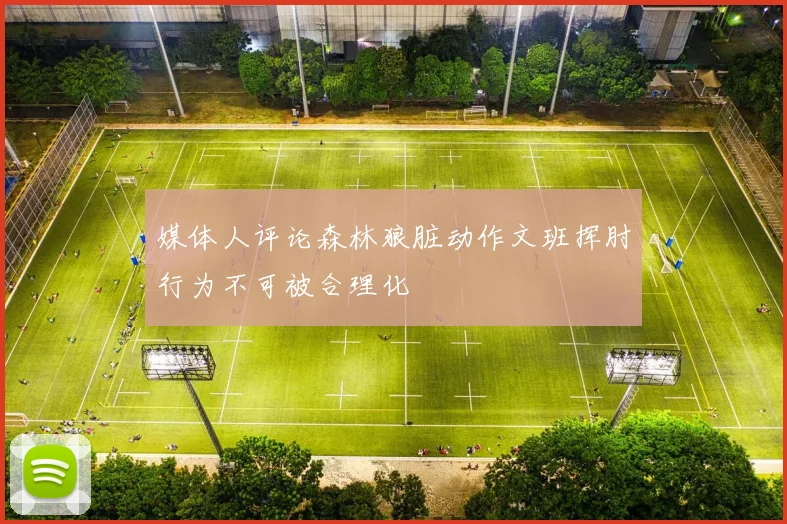 媒体人评论森林狼脏动作文班挥肘行为不可被合理化